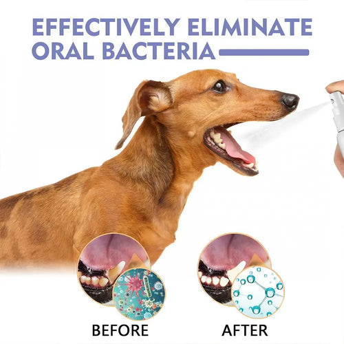 Pet Oral Care Spray - Fresh Breath & Teeth   Cleaning for Dogs