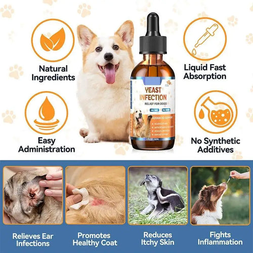 Pet Herbal Drops - Coat & Skin Health for Dogs